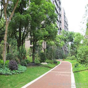 园林景观绿化与施工 解锁城市生态之美