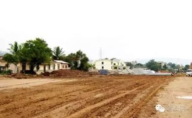 规范引领园林绿化工程高质量发展——解读《园林绿化工程建设管理规定》