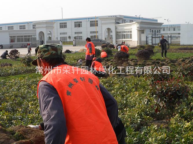 新闻中心 - 常州市荣轩园林绿化工程